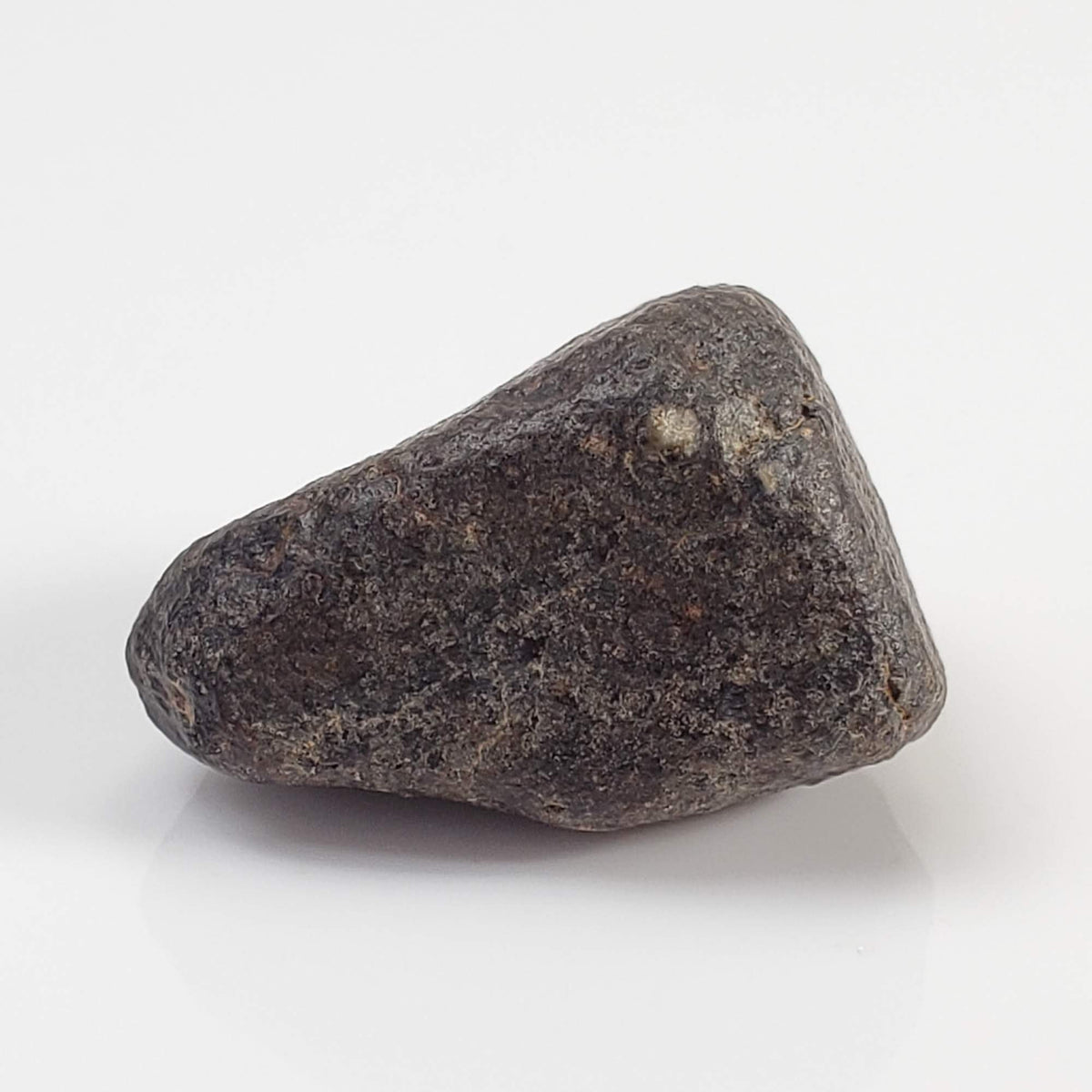 NWA 869 Meteorite | 4.5 Gr | Individual | L3-6 Chondrite | Crusted Specimen 5