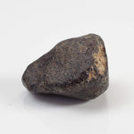 NWA 869 Meteorite | 4.5 Gr | Individual | L3-6 Chondrite | Crusted Specimen 3