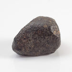 NWA 869 Meteorite | 4.5 Gr | Individual | L3-6 Chondrite | Crusted Specimen 4