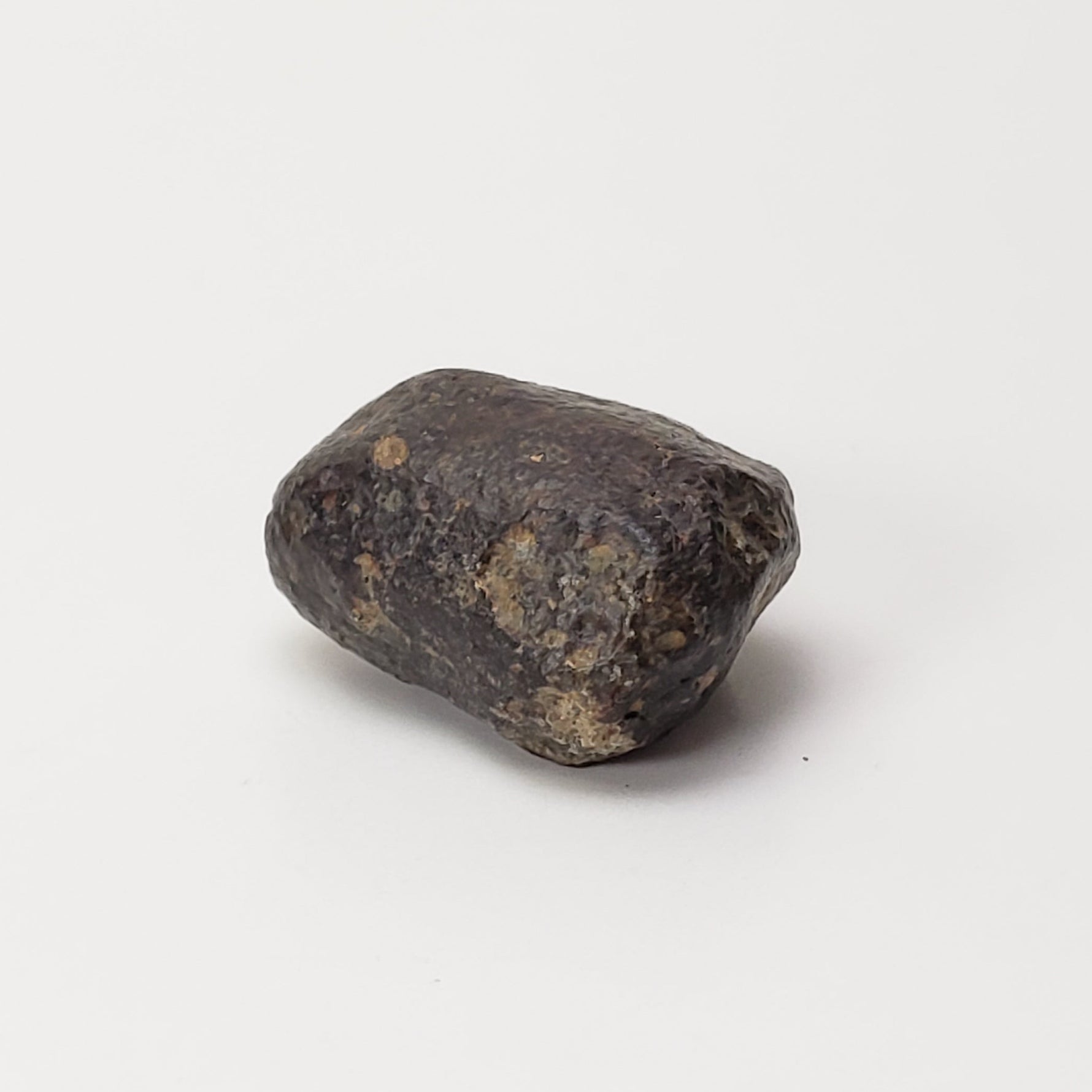  NWA 869 Meteorite | 4.78 Gr | Individual | L3-6 Chondrite | Crusted Specimen | SO24 5