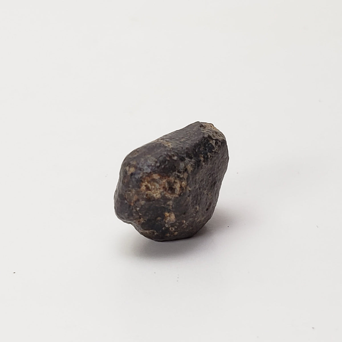  NWA 869 Meteorite | 4.78 Gr | Individual | L3-6 Chondrite | Crusted Specimen | SO24 6