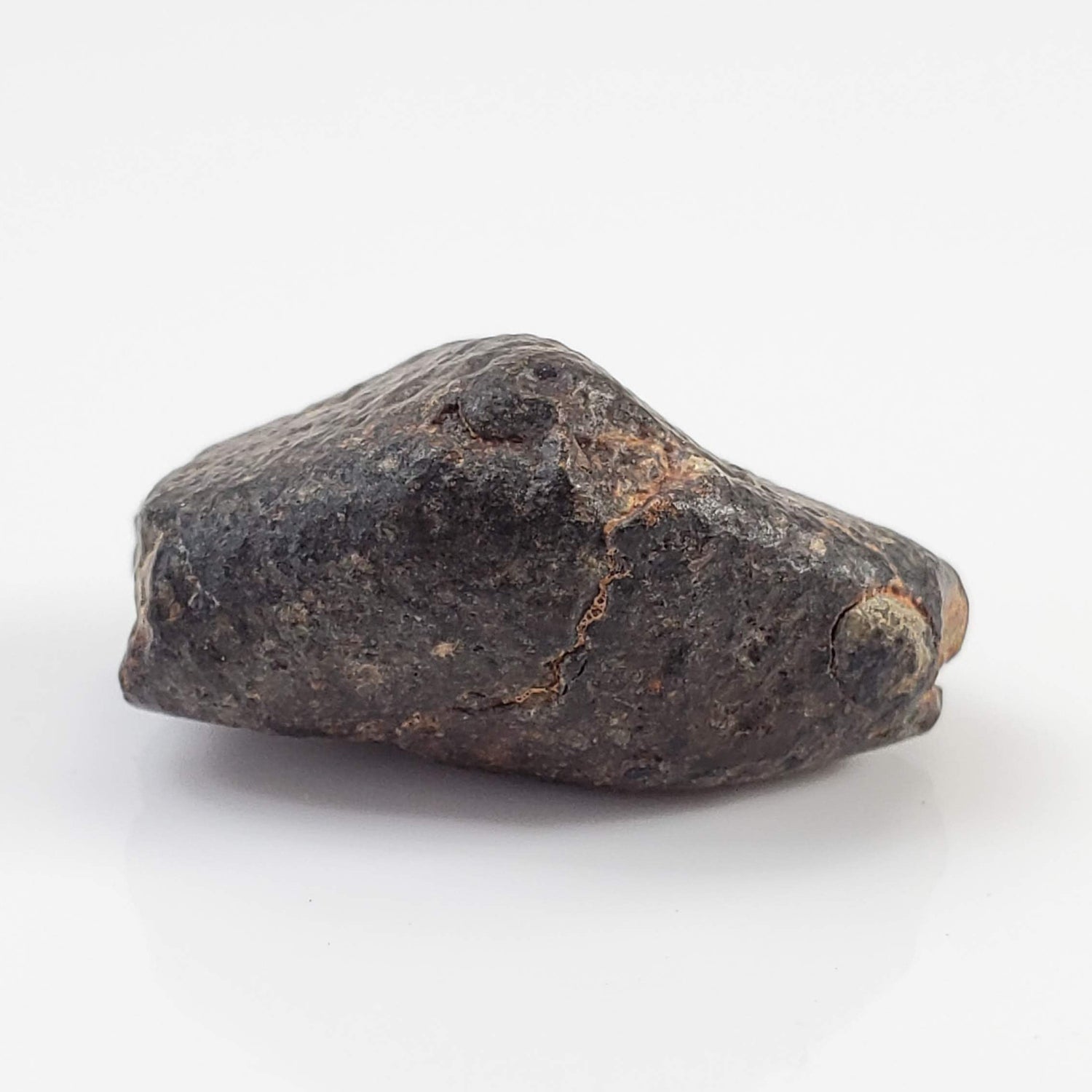  NWA 869 Meteorite | 4 Gr | Individual | L3-6 Chondrite | Crusted Specimen 1