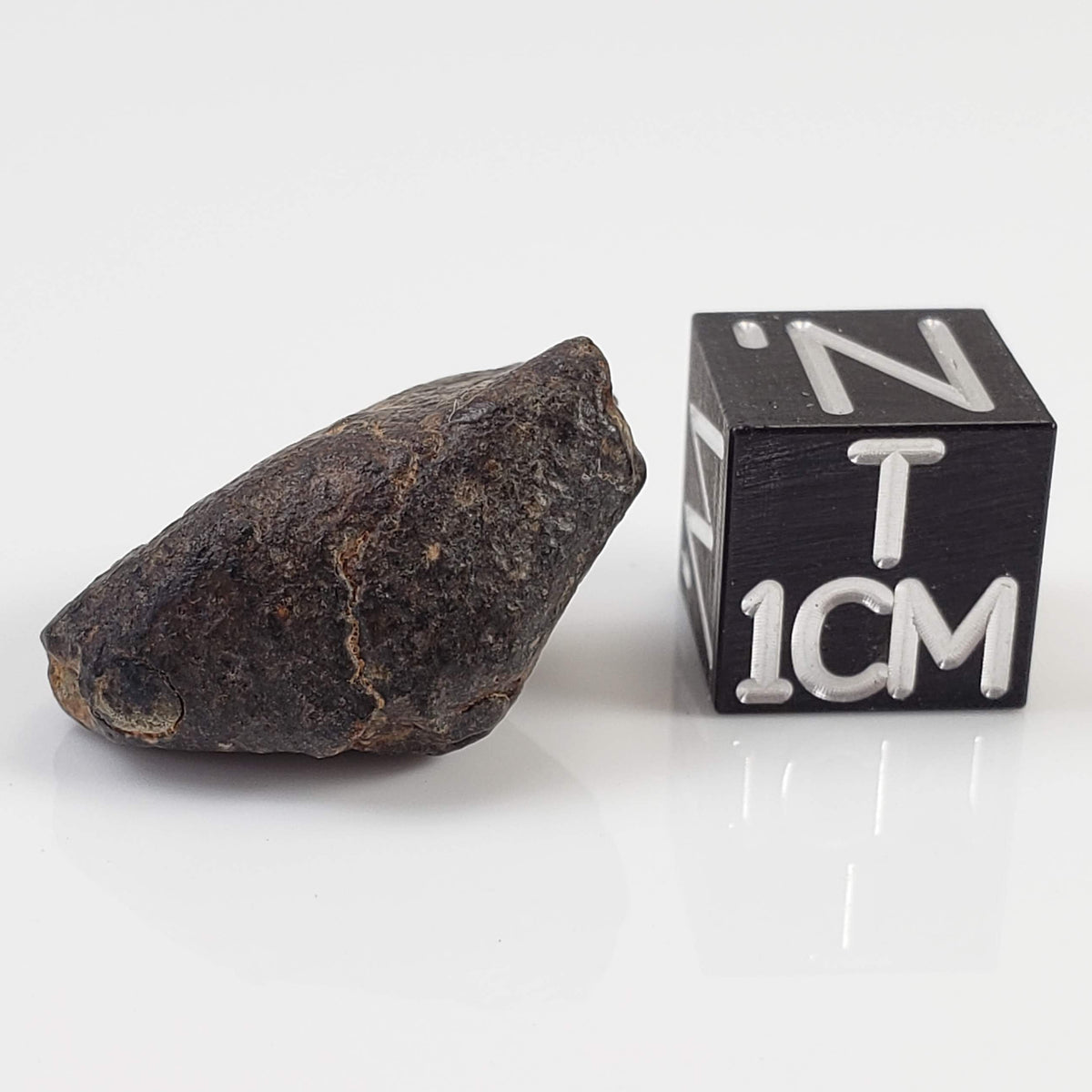  NWA 869 Meteorite | 4 Gr | Individual | L3-6 Chondrite | Crusted Specimen 
