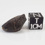  NWA 869 Meteorite | 4 Gr | Individual | L3-6 Chondrite | Crusted Specimen 