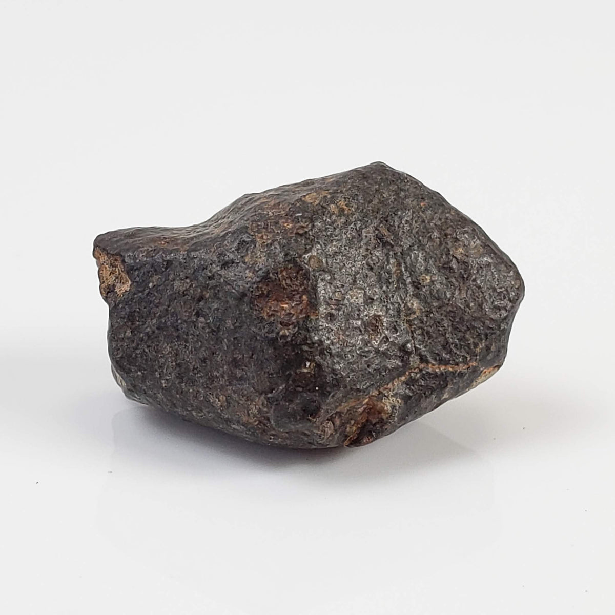  NWA 869 Meteorite | 4 Gr | Individual | L3-6 Chondrite | Crusted Specimen 4