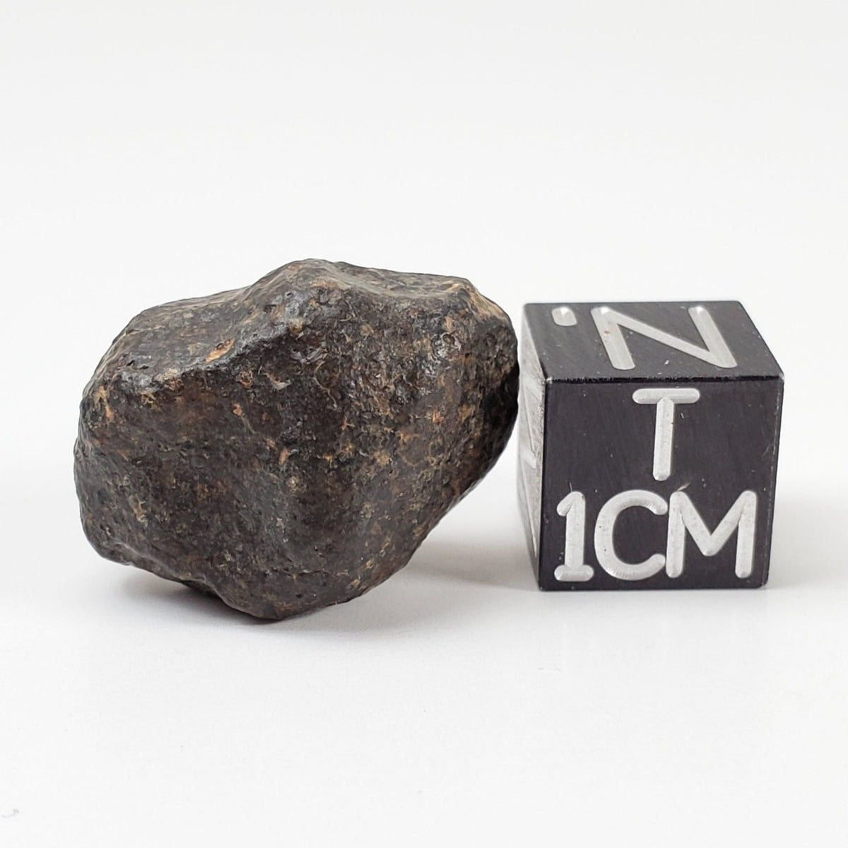  NWA 869 Meteorite | 5.1 Grams | Individual | L3-6 Chondrite | Crusted Specimen | SO24 