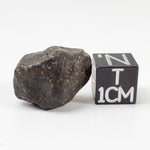 NWA 869 Meteorite | 5.1 Grams | Individual | L3-6 Chondrite | Crusted Specimen | SO24 