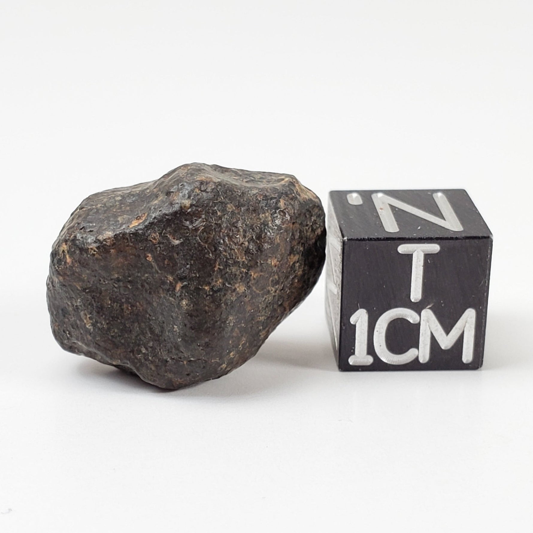  NWA 869 Meteorite | 5.1 Grams | Individual | L3-6 Chondrite | Crusted Specimen | SO24 