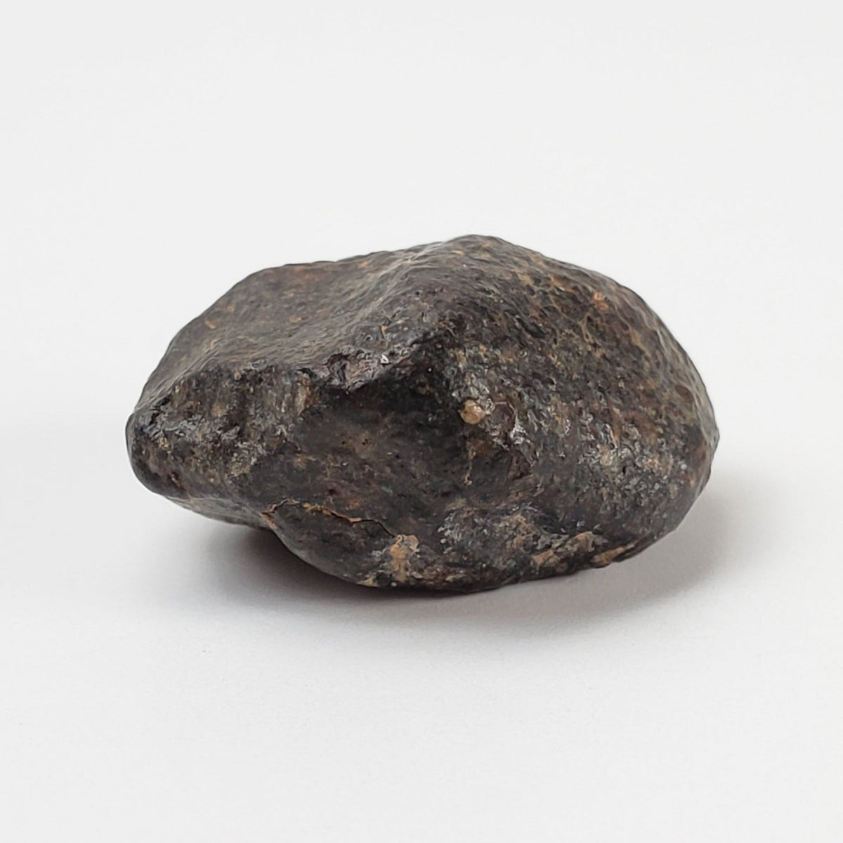  NWA 869 Meteorite | 5.1 Grams | Individual | L3-6 Chondrite | Crusted Specimen | SO24 5