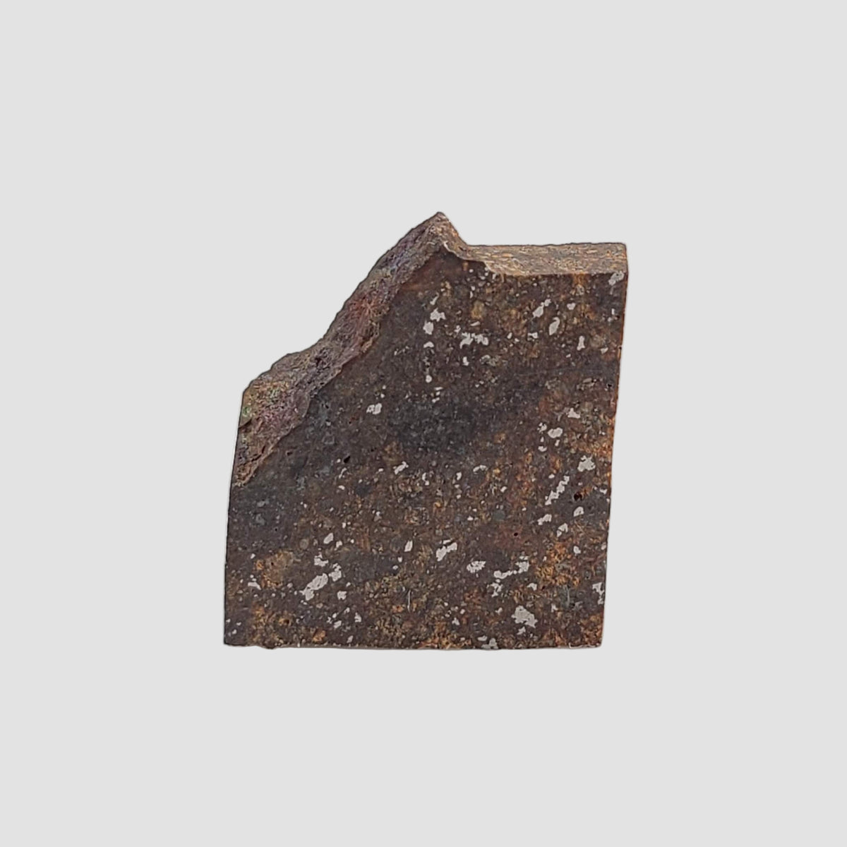  NWA 926 Meteorite | 1.05 Grams | Part Slice | H4 Chondrite 3