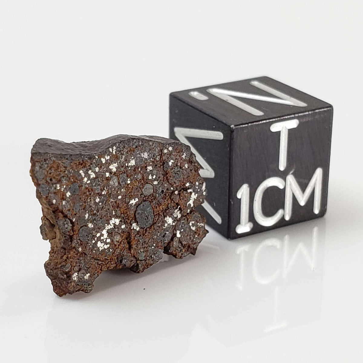  NWA 926 Meteorite | 1.70 Grams | Full Slice | H4 Chondrite 