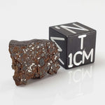  NWA 926 Meteorite | 1.70 Grams | Full Slice | H4 Chondrite 