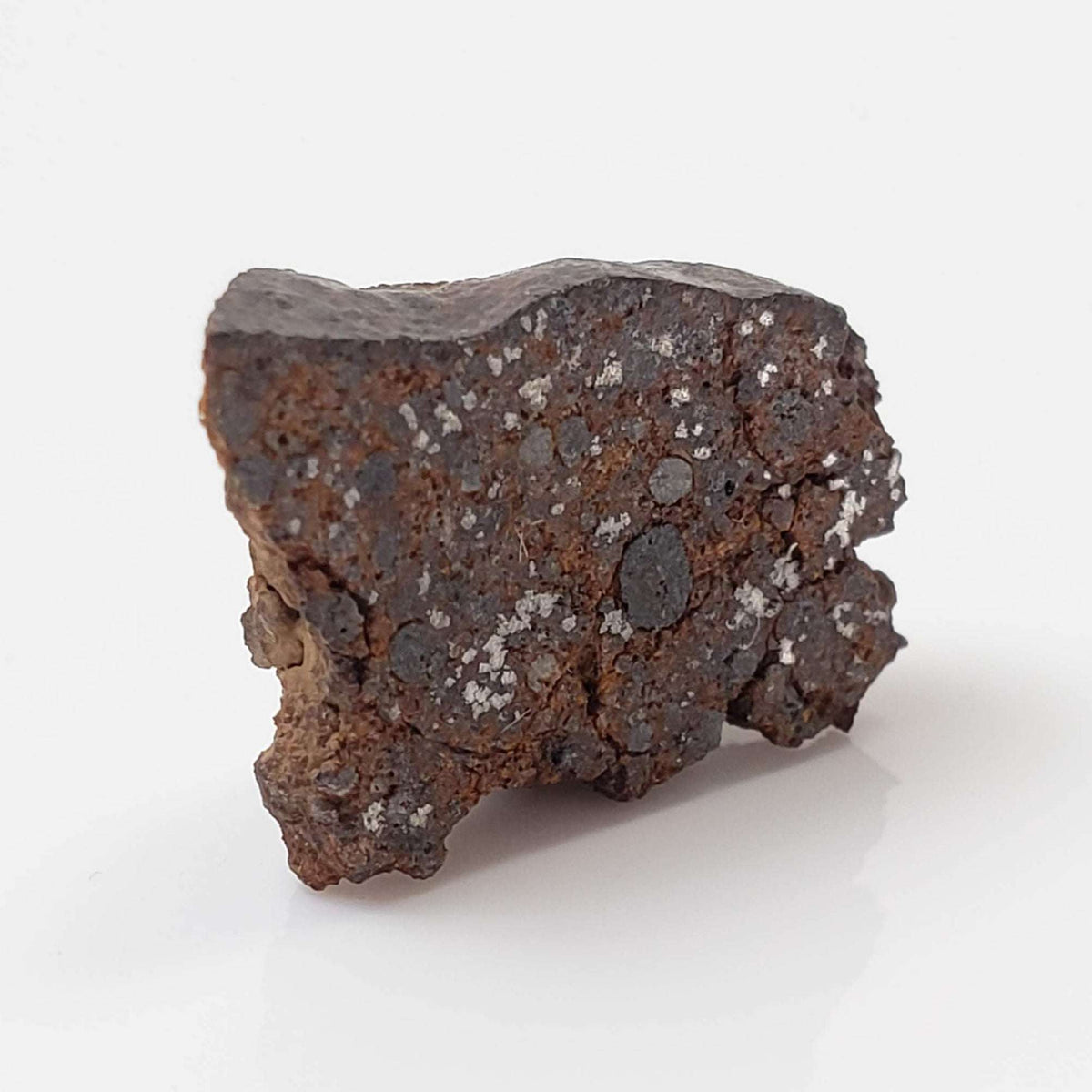  NWA 926 Meteorite | 1.70 Grams | Full Slice | H4 Chondrite 4