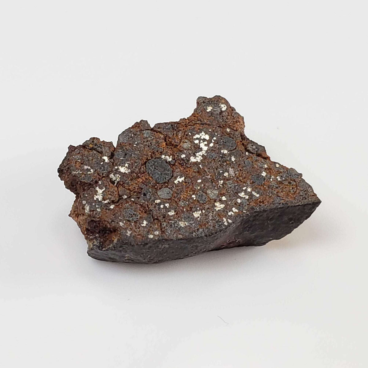  NWA 926 Meteorite | 1.70 Grams | Full Slice | H4 Chondrite 5