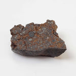 NWA 926 Meteorite | 1.70 Grams | Full Slice | H4 Chondrite 6