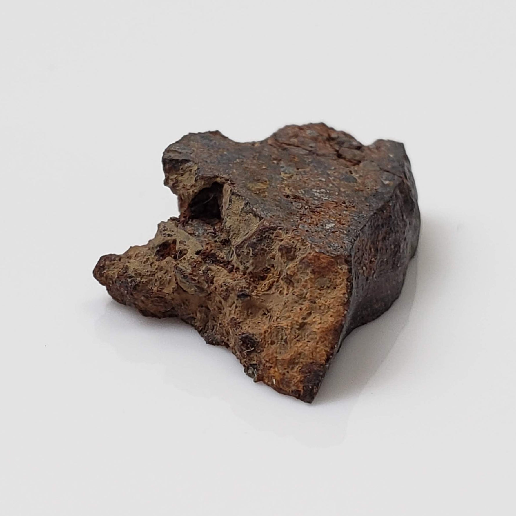  NWA 926 Meteorite | 1.70 Grams | Full Slice | H4 Chondrite 3
