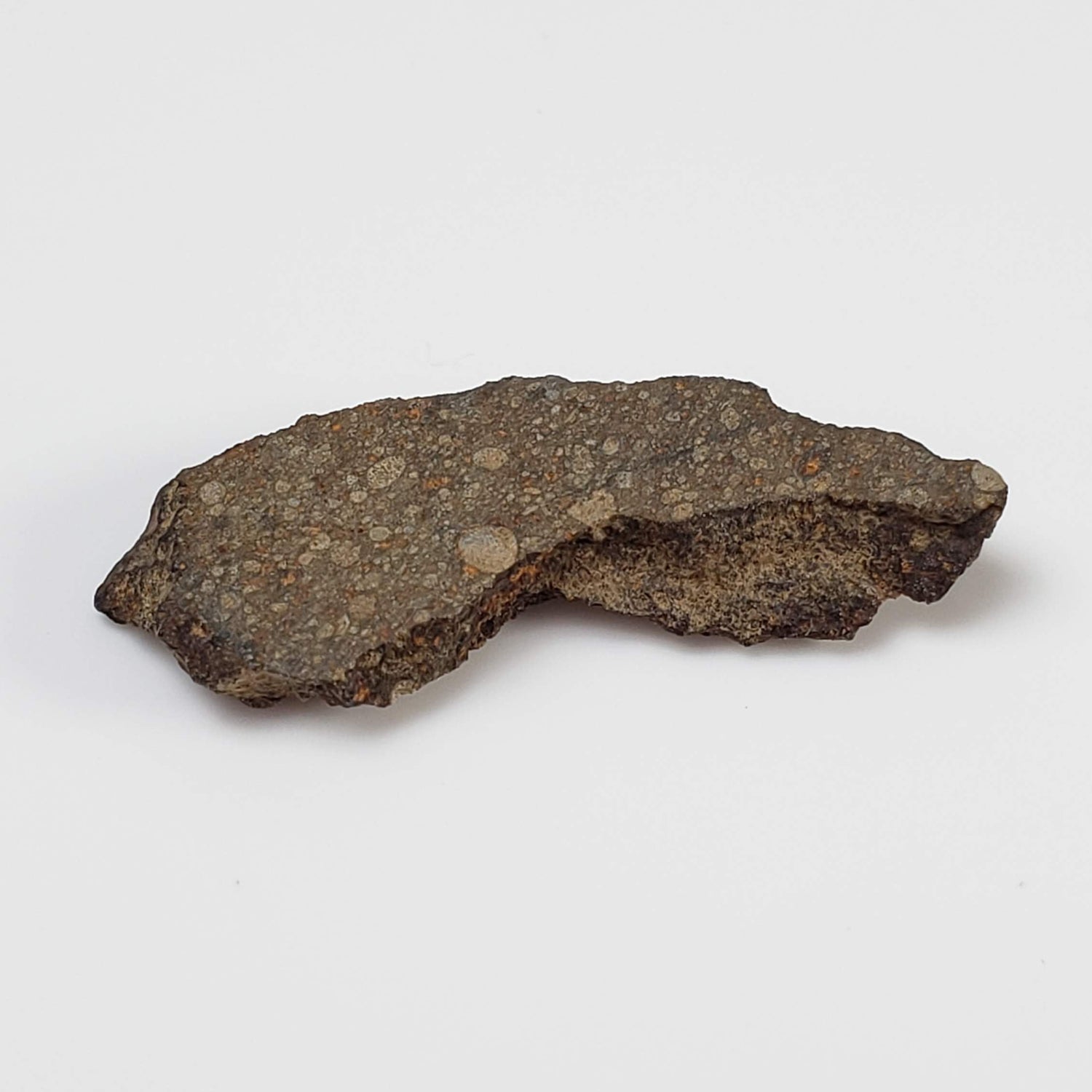  NWA 978 Meteorite | 1.75 Grams | End Cut | Rare R3.8 Rumurutiite 1