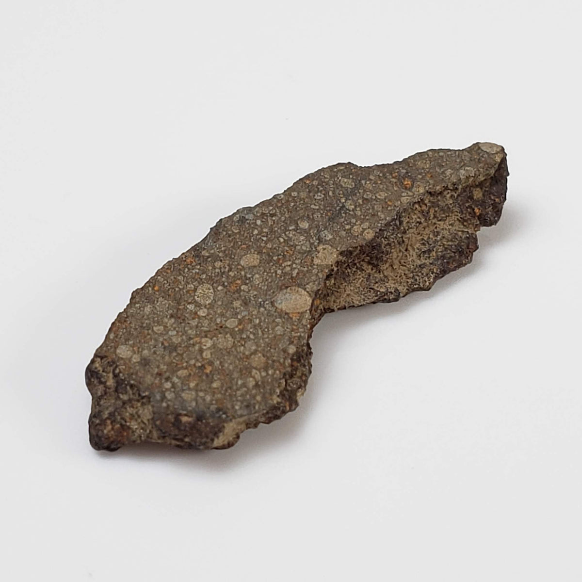  NWA 978 Meteorite | 1.75 Grams | End Cut | Rare R3.8 Rumurutiite 3