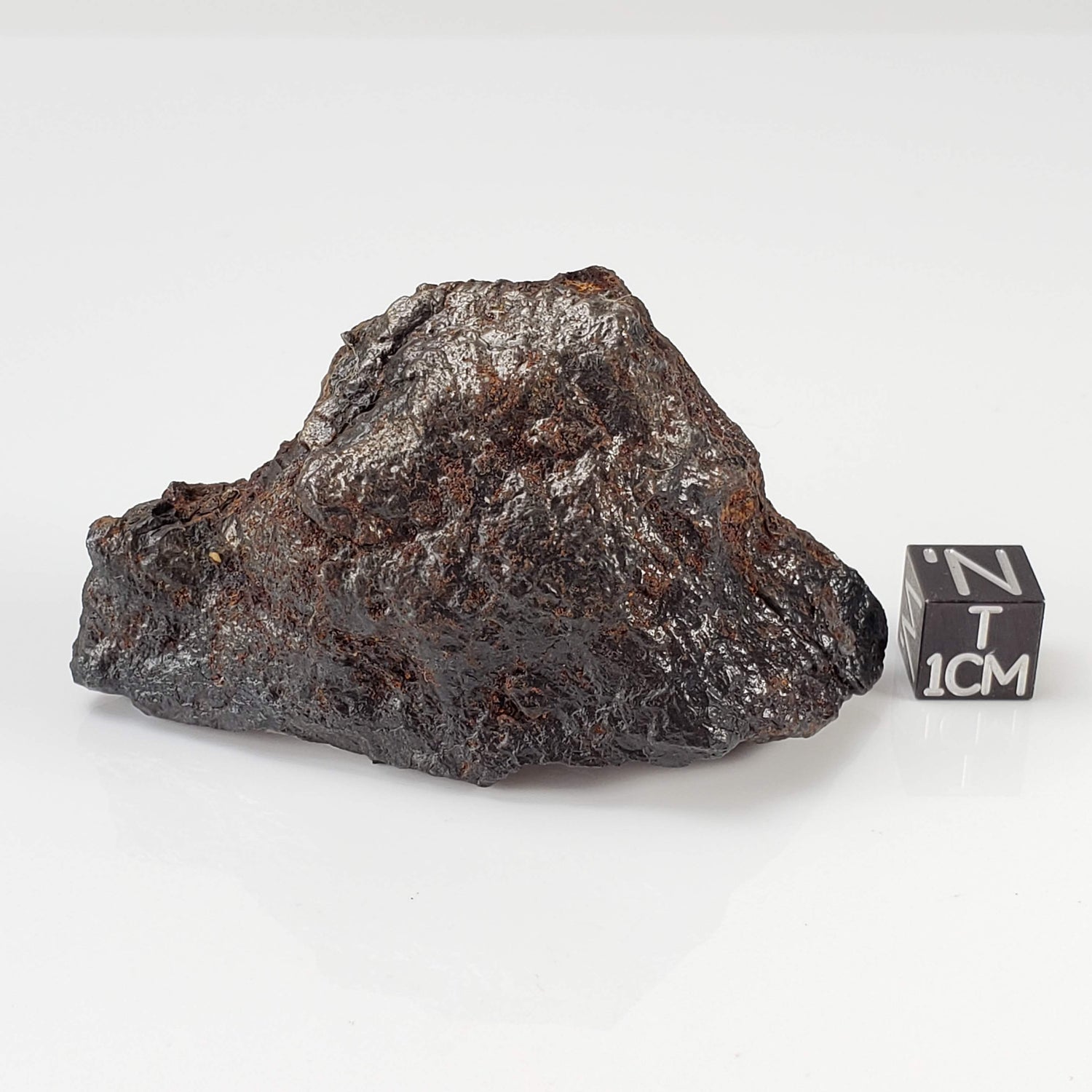  Nantan Meteorite | 150 grams | Individual Fragment | IAB-MG Iron | Guangxi China 