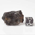 Nantan Meteorite | 17 grams | Individual Fragment | IAB-MG Iron | Guangxi China 