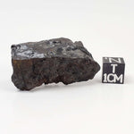  Nantan Meteorite | 29.8 grams | Individual Fragment | IAB-MG Iron | Guangxi China 