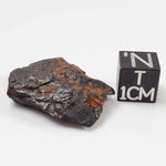  Nantan Meteorite | 8.53 grams | Individual Fragment | IAB-MG Iron | Guangxi China 