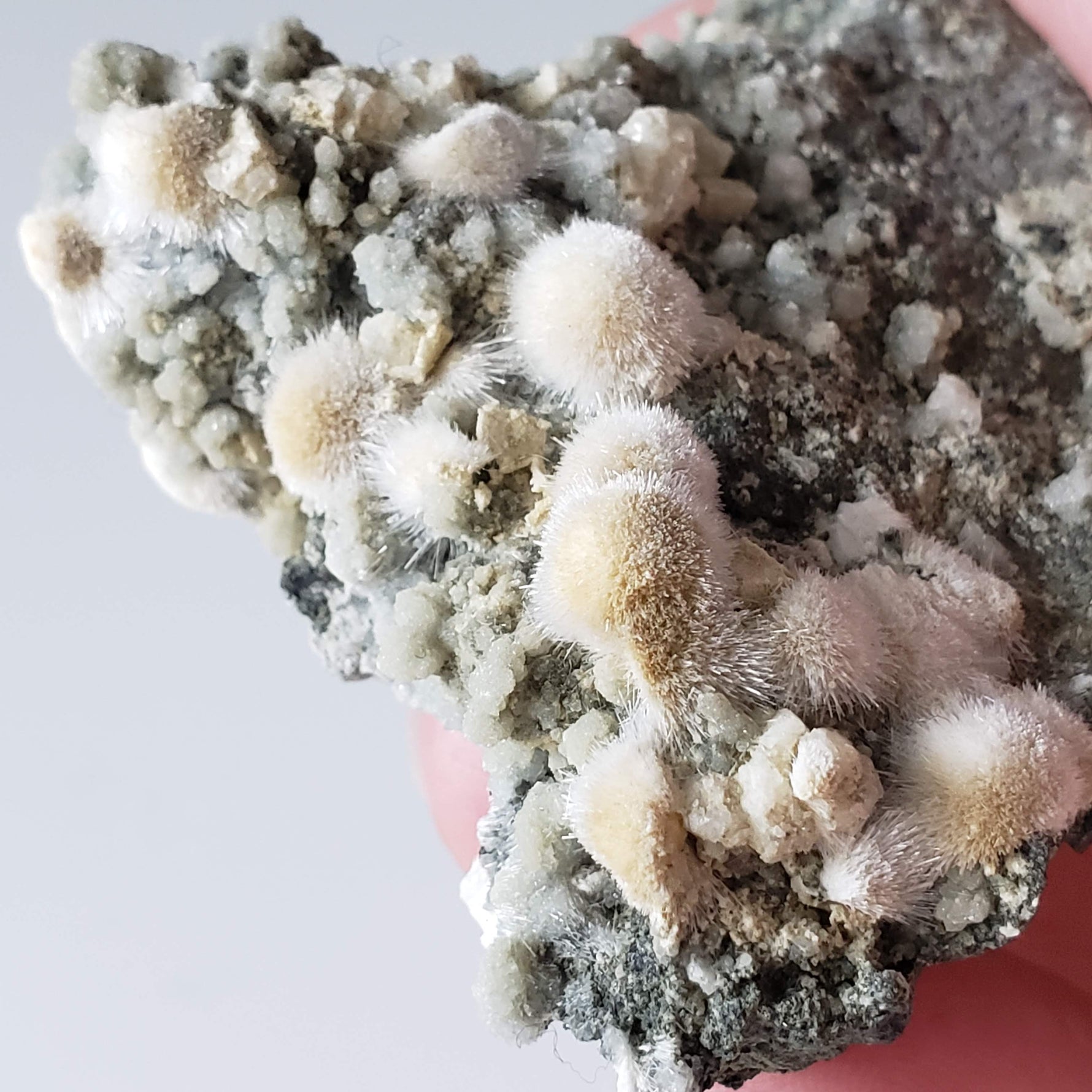  Natrolite Crystals on Matrix | 74 grams | Bernardsville, New Jersey, USA 6