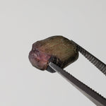  Natural Bi-Color Tourmaline Crystal | Raw Tourmaline | 10mm 3.9ct | Africa 2