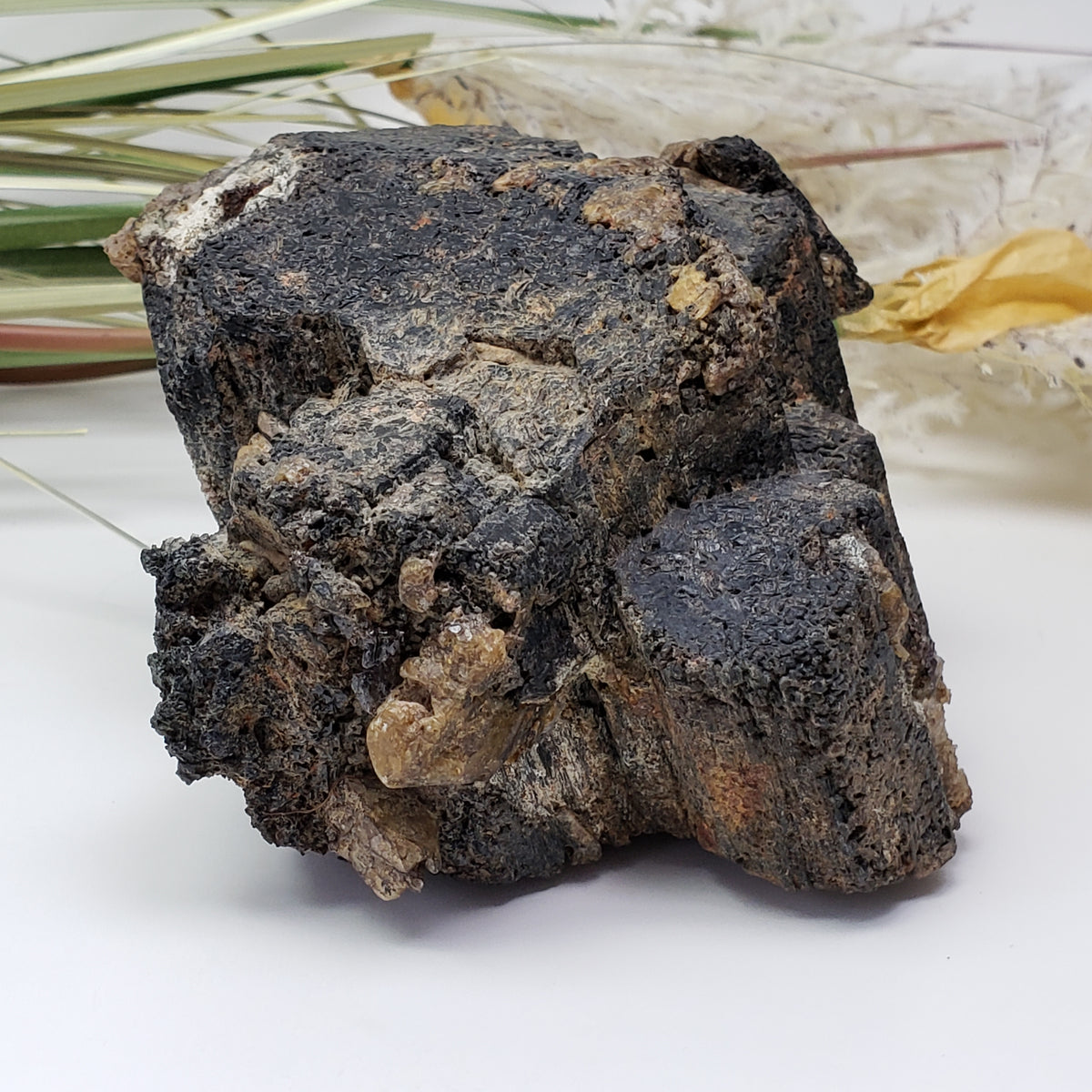  Natural Hornblende | Raw Crystal | 1.07 Kg | Tory Hill, Ontario Canada | SO24 7