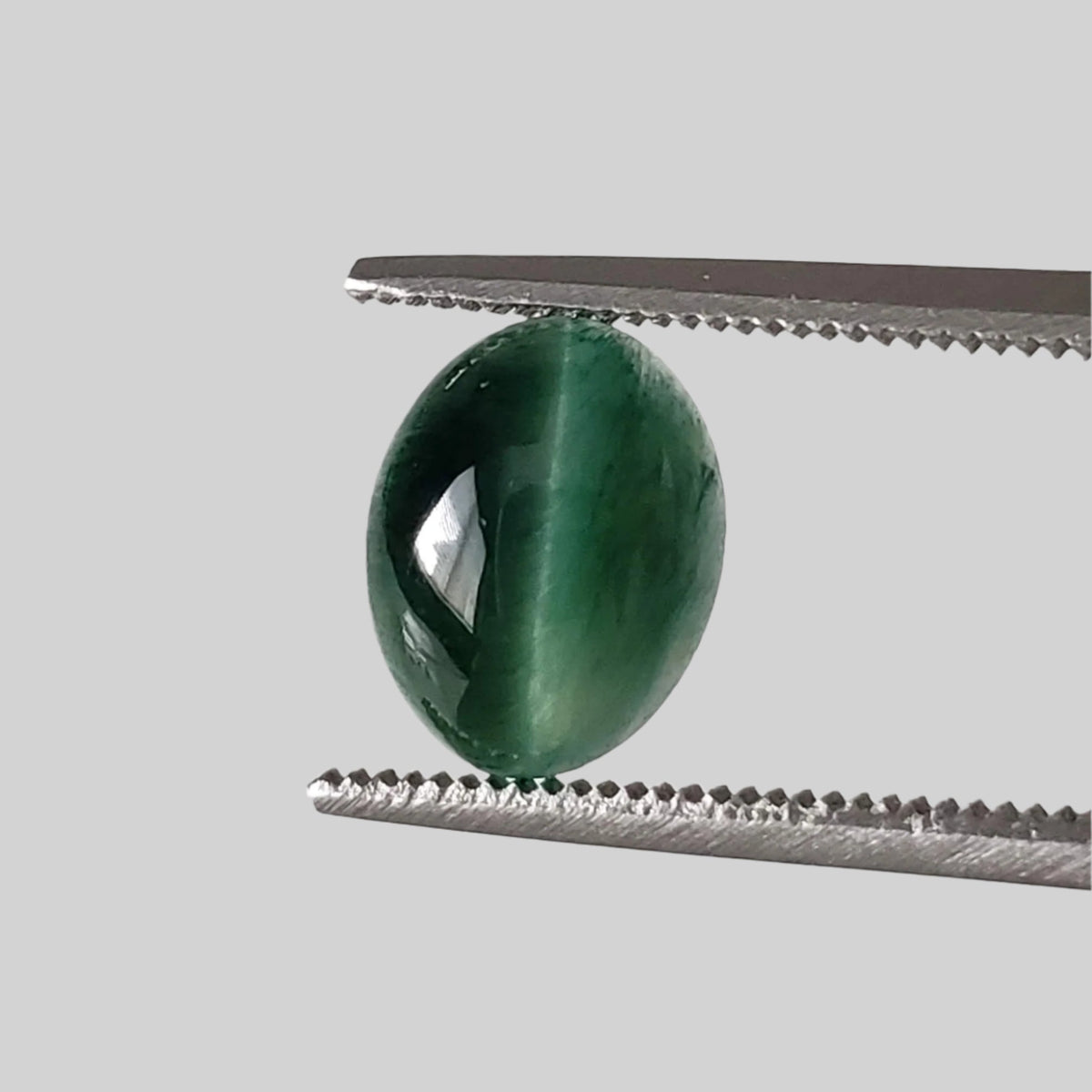  Natural Quartz Cats Eye | Cabochon | Green | 8.5x6.7mm| Brazil 