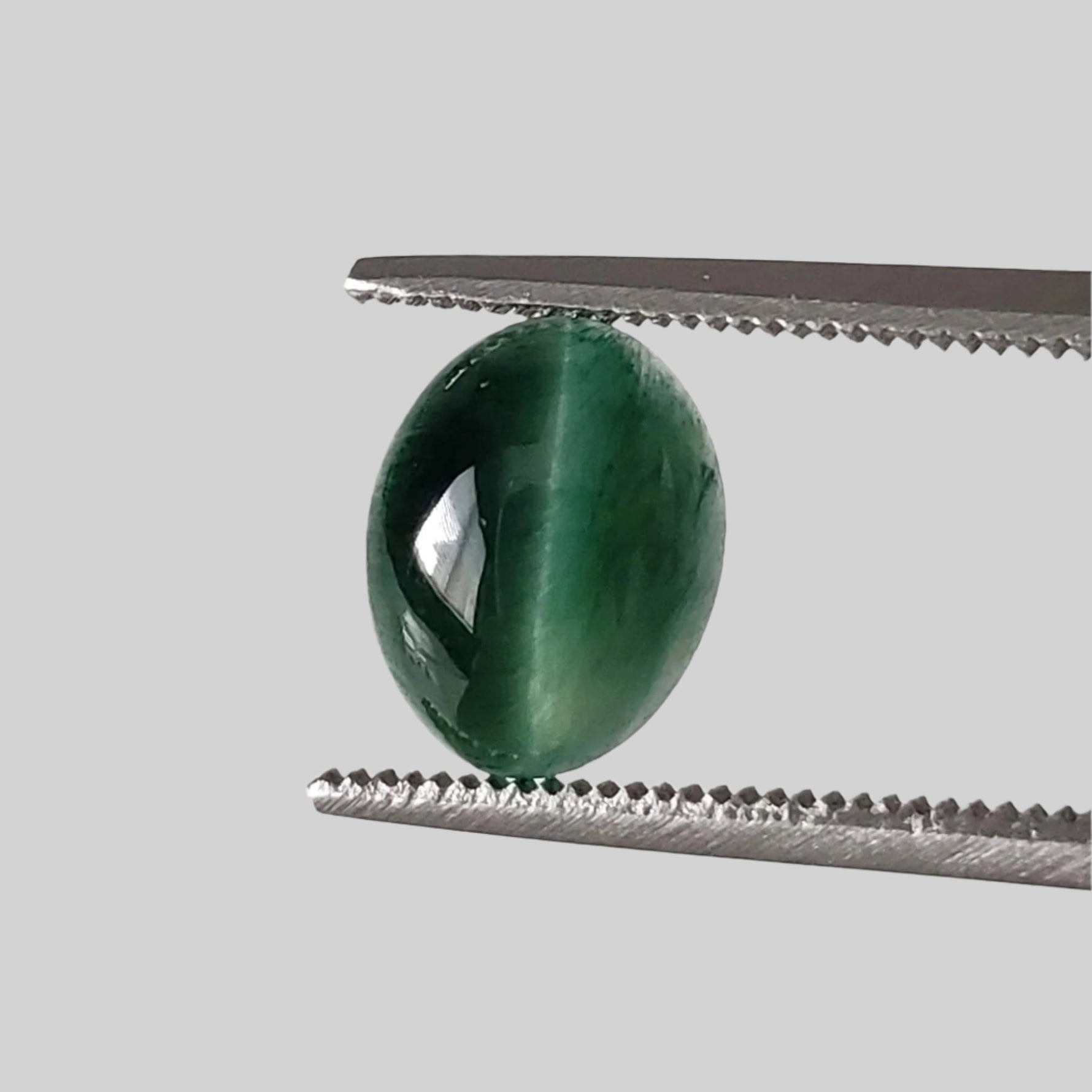 Natural Quartz Cats Eye | Cabochon | Green | 8.5x6.7mm| Brazil 