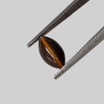 Natural Quartz Cats Eye | Marquise Cabochon | Brown | 10x5mm | Brazil 1