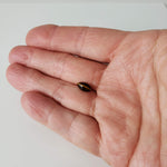 Natural Quartz Cats Eye | Marquise Cabochon | Brown | 10x5mm | Brazil 4