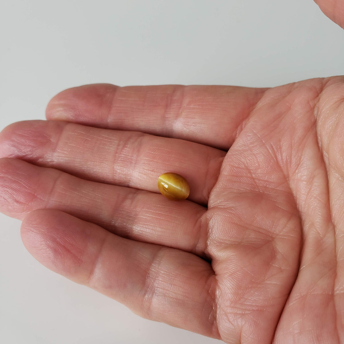 Natural Quartz Cats Eye | Oval Cabochon | Golden Yellow | 10x7.6mm, 2.44ct | Brazil 7