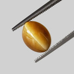 Natural Quartz Cats Eye | Oval Cabochon | Golden Yellow | 10x7.6mm, 2.44ct | Brazil 2