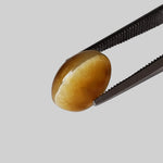 Natural Quartz Cats Eye | Oval Cabochon | Golden Yellow | 10x7.6mm, 2.44ct | Brazil 3