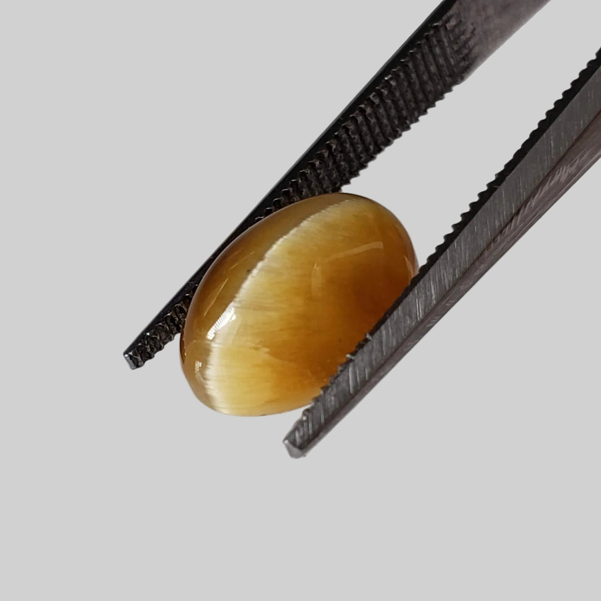 Natural Quartz Cats Eye | Oval Cabochon | Golden Yellow | 10x7.6mm, 2.44ct | Brazil 1