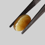 Natural Quartz Cats Eye | Oval Cabochon | Golden Yellow | 10x7.6mm, 2.44ct | Brazil 1