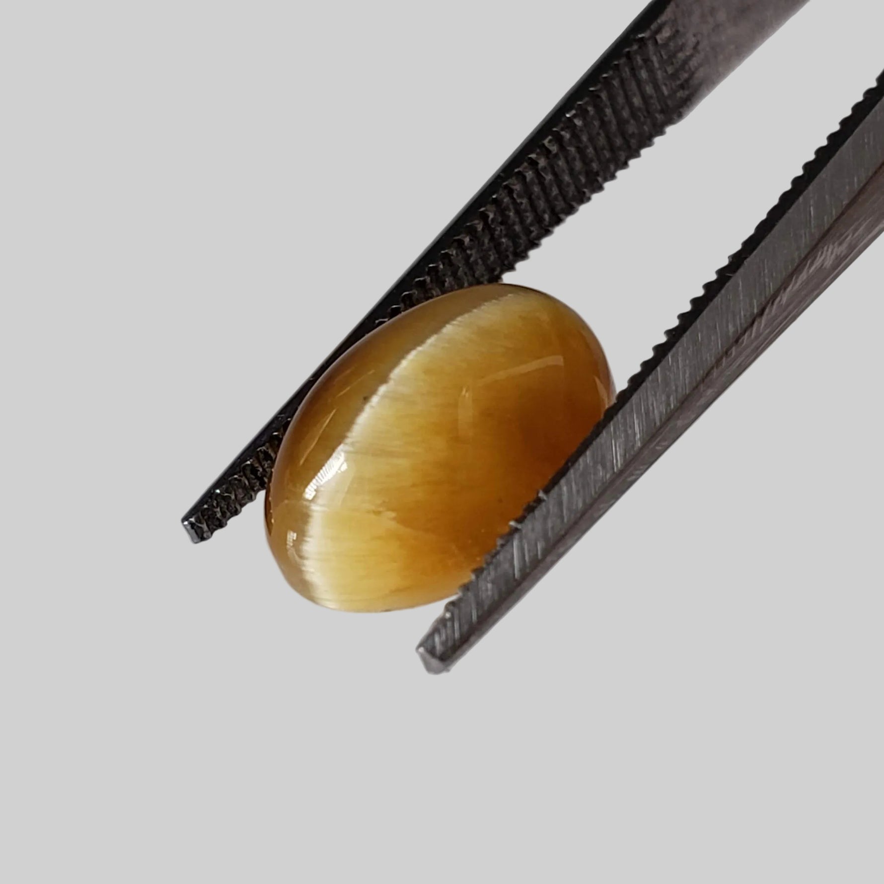 Natural Quartz Cats Eye | Oval Cabochon | Golden Yellow | 10x7.6mm, 2.44ct | Brazil 1