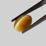Natural Quartz Cats Eye | Oval Cabochon | Golden Yellow | 10x7.6mm, 2.44ct | Brazil 4