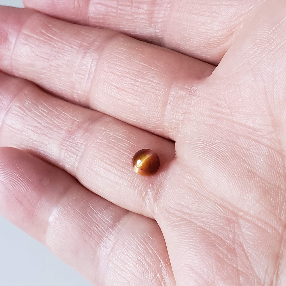  Natural Quartz Cats Eye | Round Cabochon | Orange | 6mm | Brazil 4