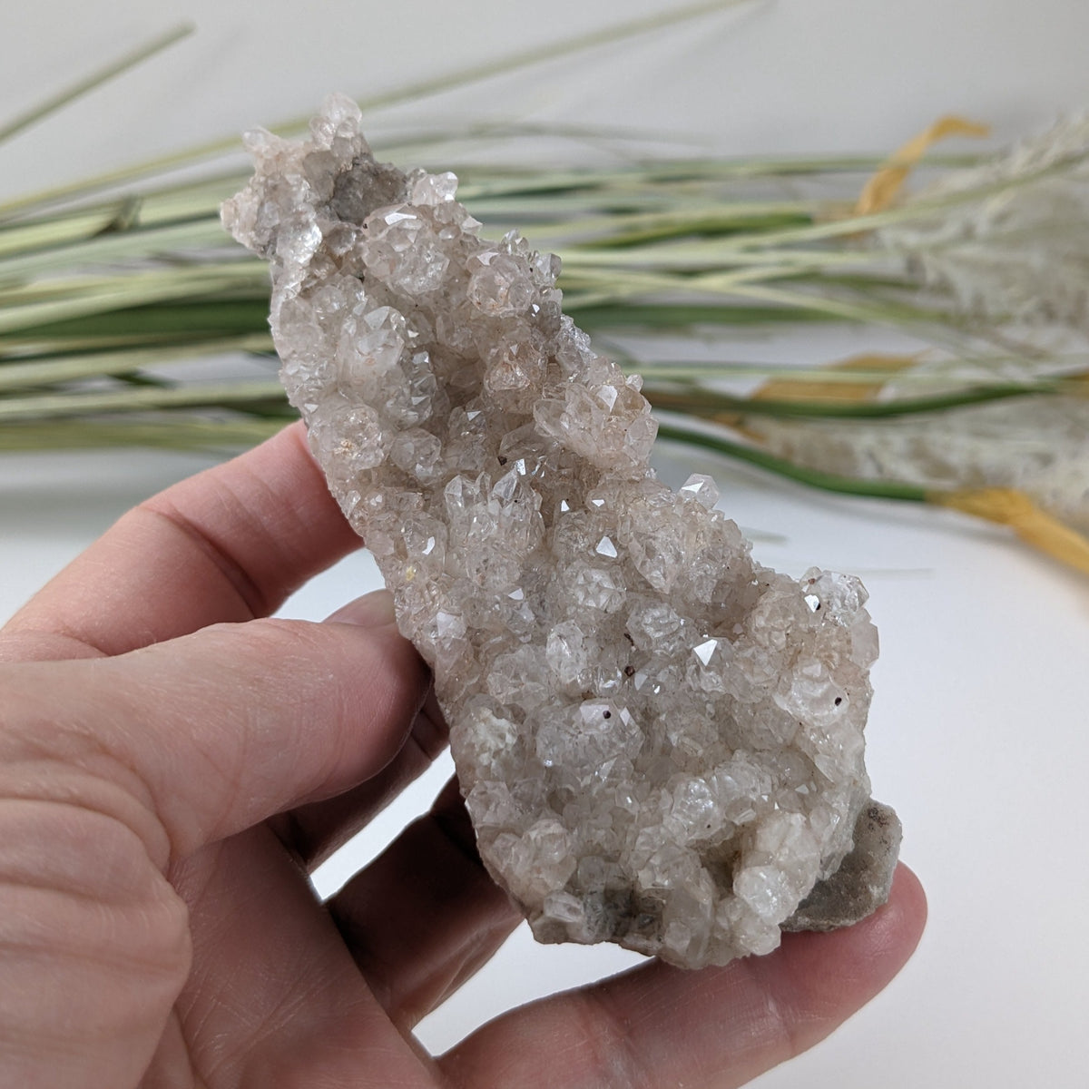  Natural Quartz Crystal | 129.4 Grams | Miners Bay, Ontario Canada 6