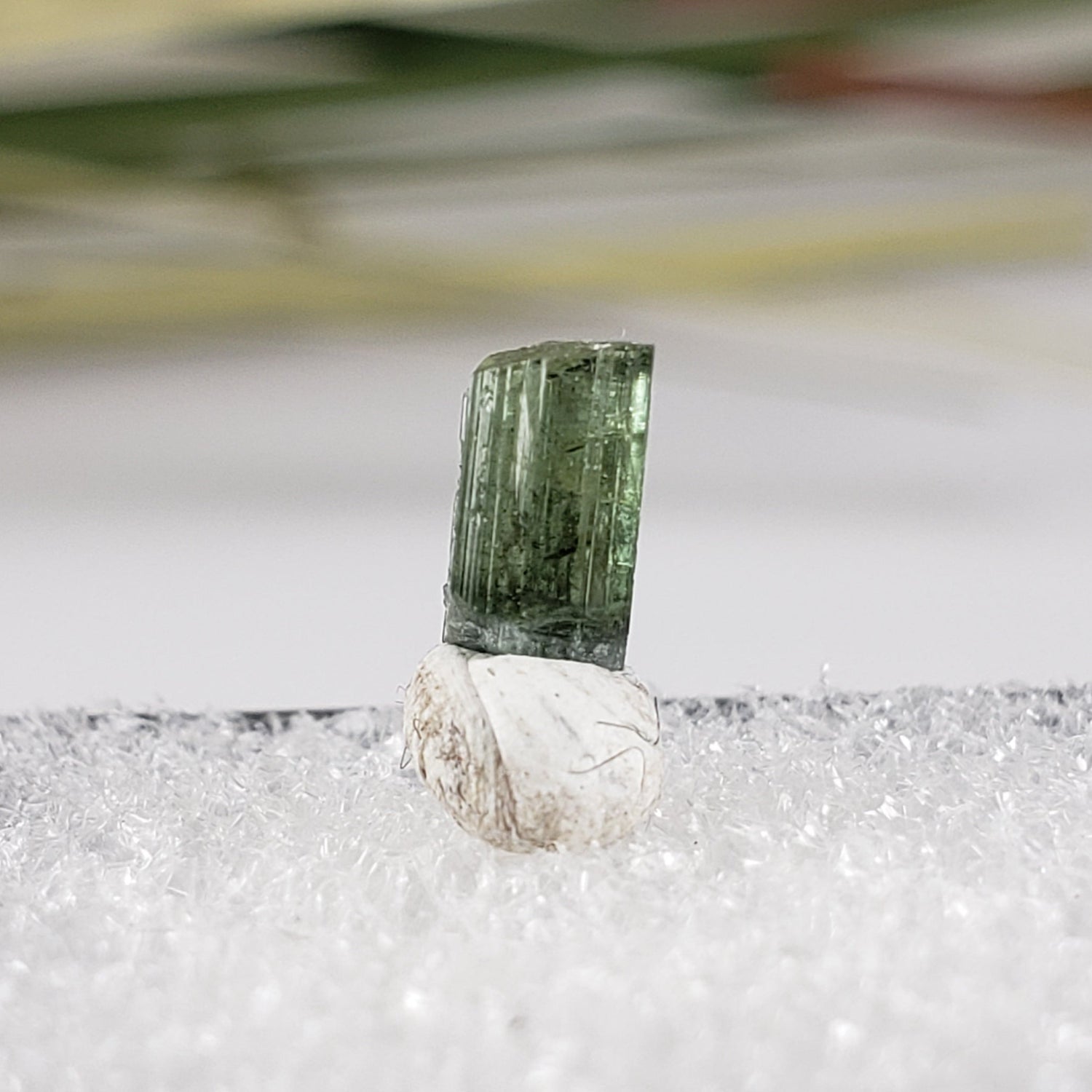  Natural Rough Tourmaline | Perky Box Thumbnail Specimen | Glastonbury, Connecticut 