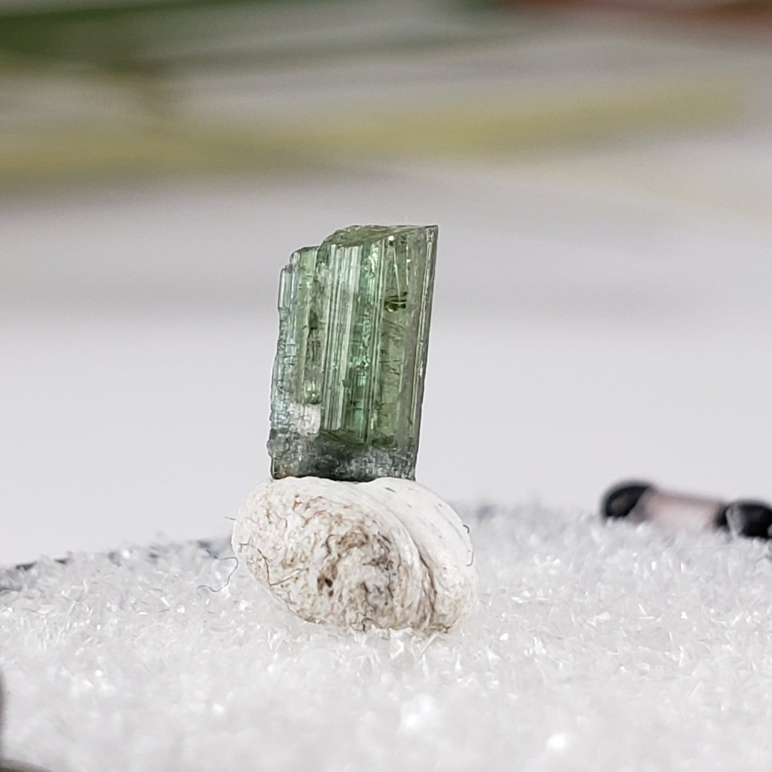  Natural Rough Tourmaline | Perky Box Thumbnail Specimen | Glastonbury, Connecticut 1