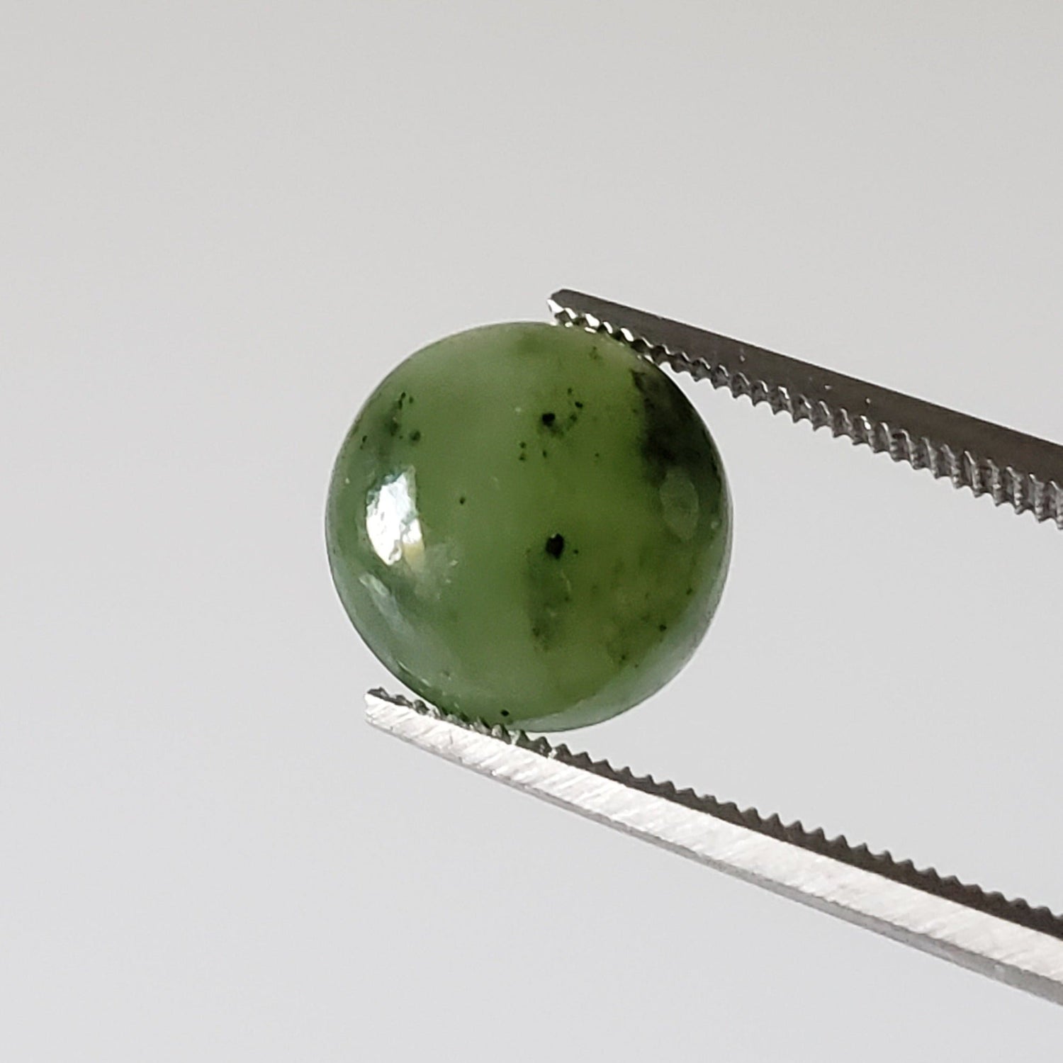  Nephrite | Round Cabochon | Green | 10mm | Canada | SO24 