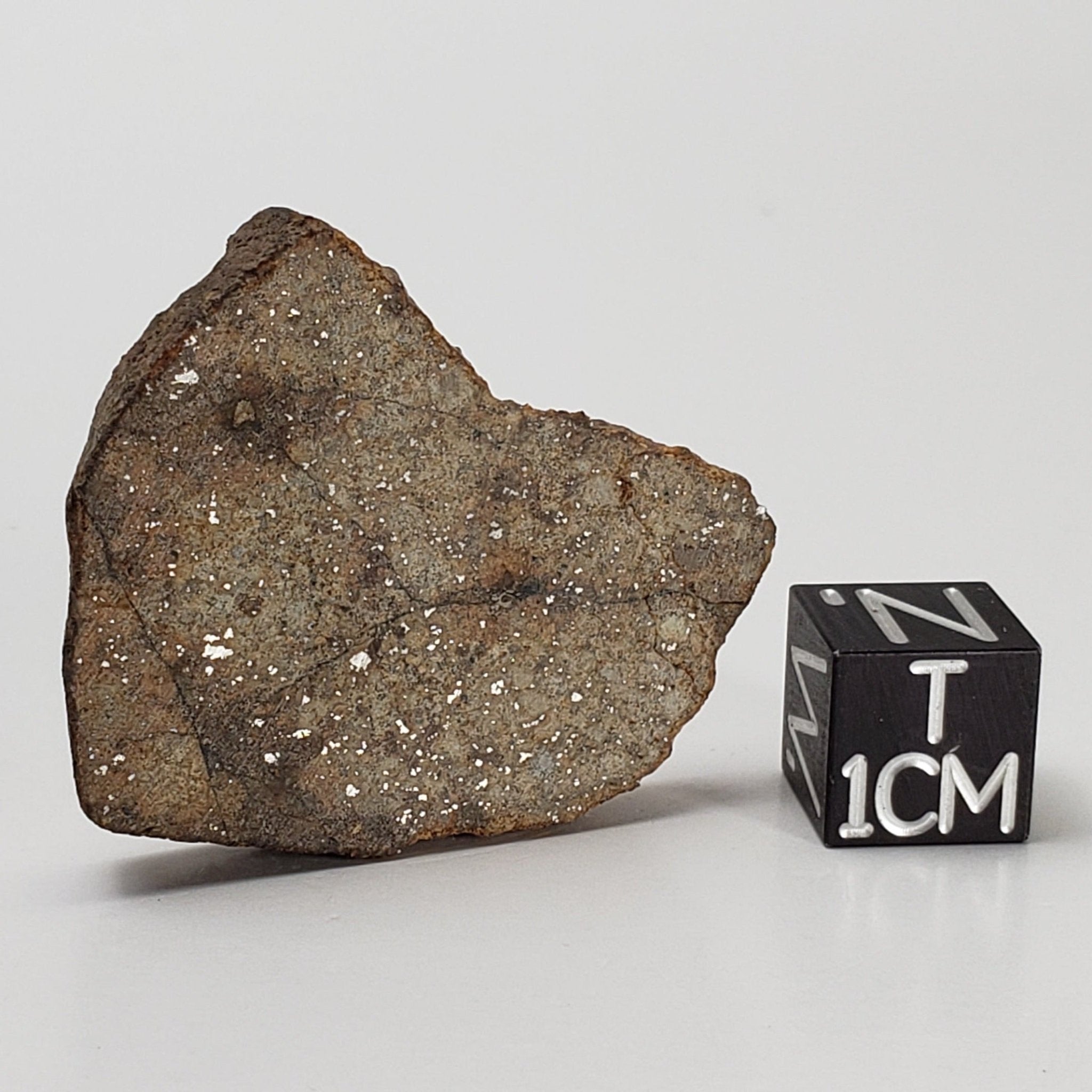 Northwest Africa NWA Meteorite | 10.57 Grams | Slice | Sahara | SO24