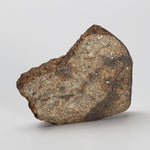  Northwest Africa NWA Meteorite | 10.57 Grams | Slice | Sahara | SO24 1