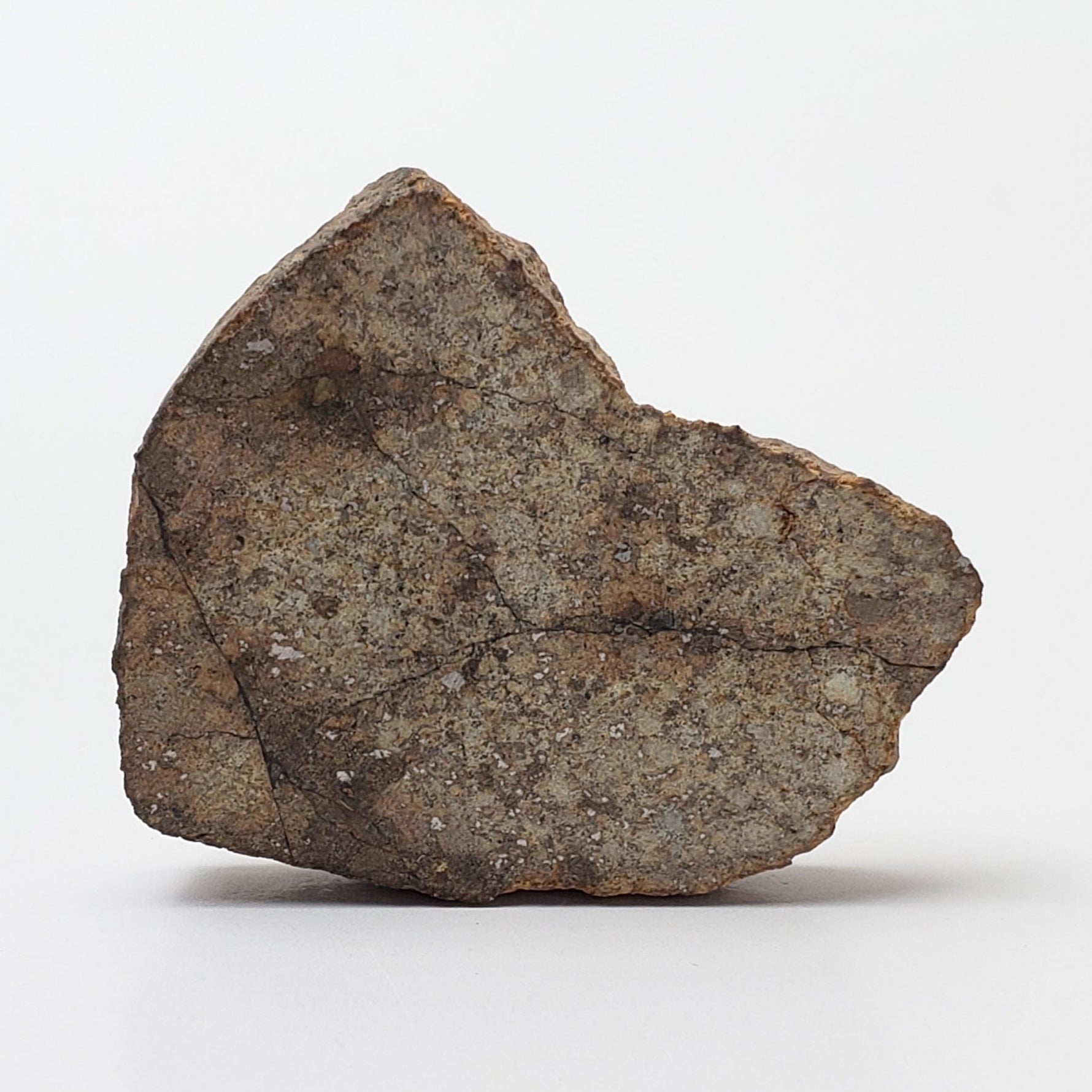  Northwest Africa NWA Meteorite | 10.57 Grams | Slice | Sahara | SO24 2