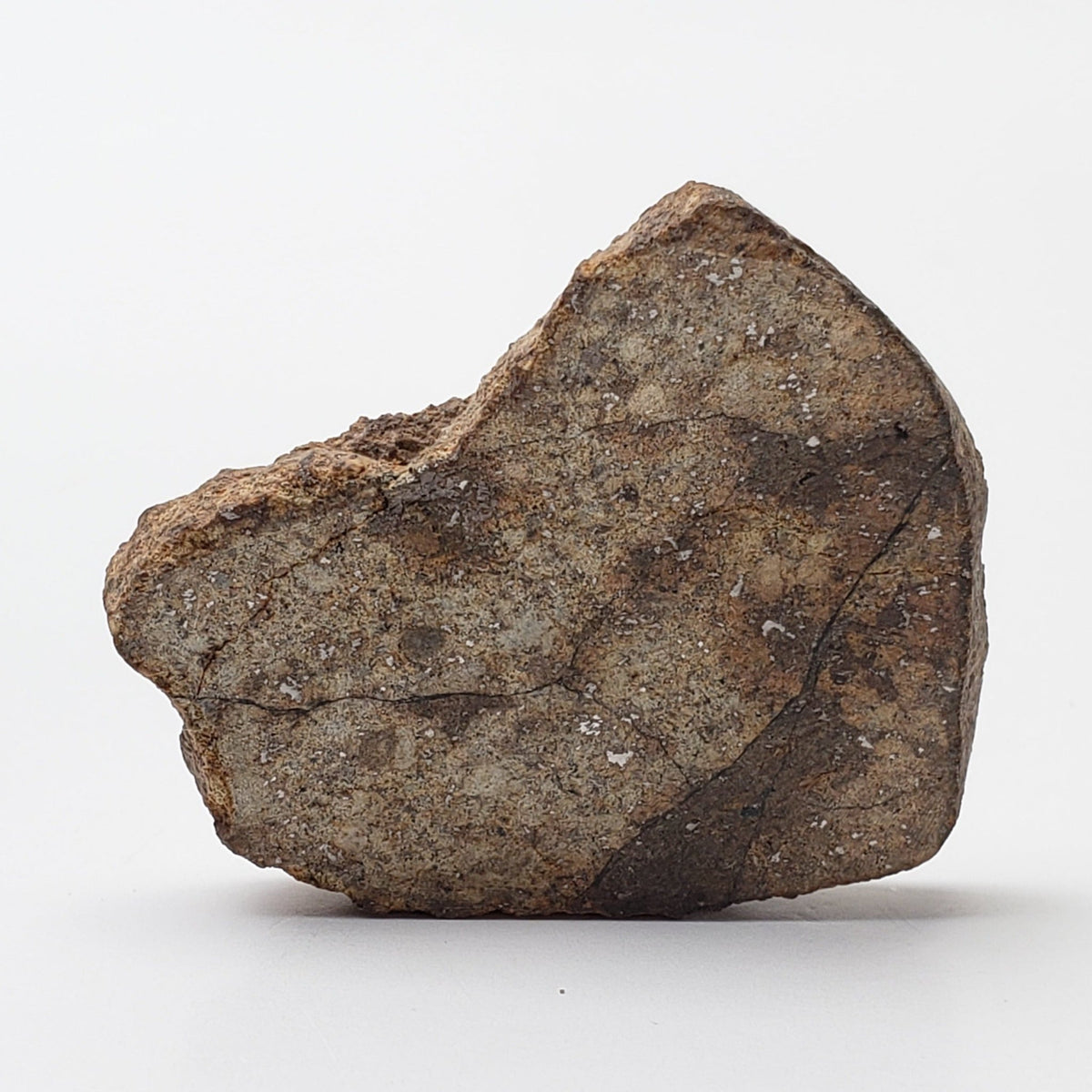  Northwest Africa NWA Meteorite | 10.57 Grams | Slice | Sahara | SO24 3