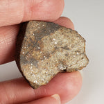  Northwest Africa NWA Meteorite | 10.57 Grams | Slice | Sahara | SO24 4